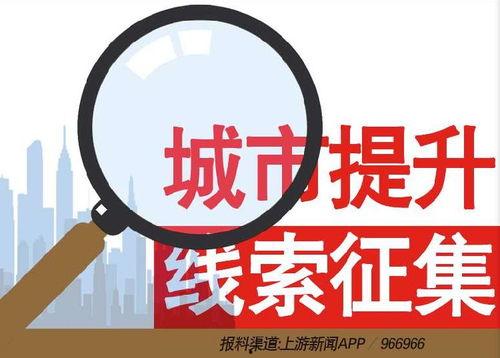 新闻爆料奖励,激励公众参与社会监督的幕后故事